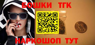 соль ск Гатчина